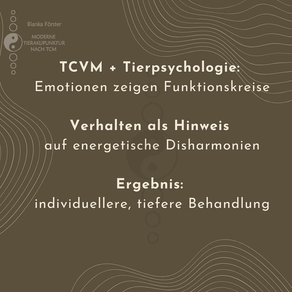 TCVM + Tierpsychologie: Emotionen zeigen Funktionskreise Verhalten als Hinweis: auf energetische Disharmonien Ergebnis: individuellere, tiefere Behandlung