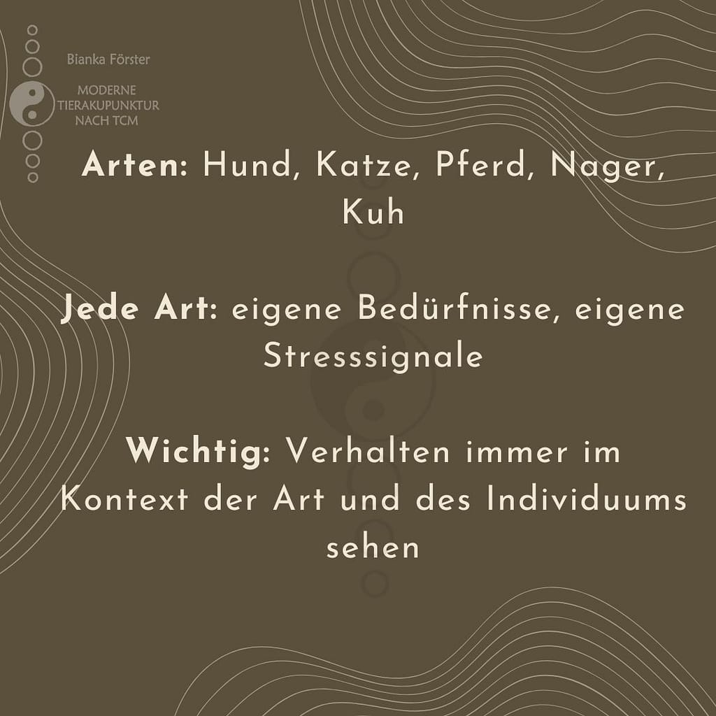 Arten: Hund, Katze, Pferd, Nager, Kuh Jede Art: eigene Bedürfnisse, eigene Stresssignale Wichtig: Verhalten immer im Kontext der Art und des Individuums sehen