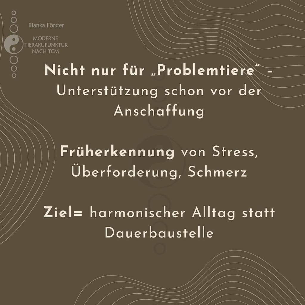 Nicht nur für „Problemtiere“ – Unterstützung schon vor der Anschaffung Früherkennung von Stress, Überforderung, Schmerz Ziel: harmonischer Alltag statt Dauerbaustelle