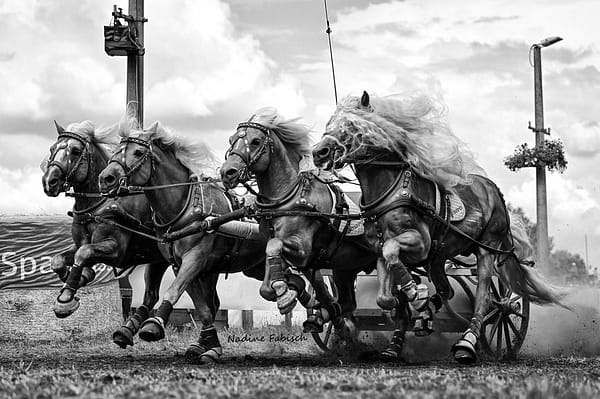 4-Spänner beim Römerwagenrennen bei den Titanen der Rennbahn 2022